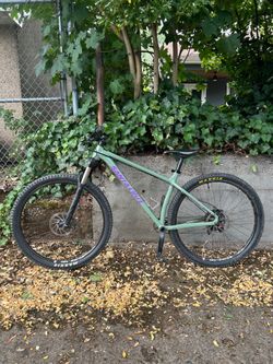 Santa Cruz Chameleon