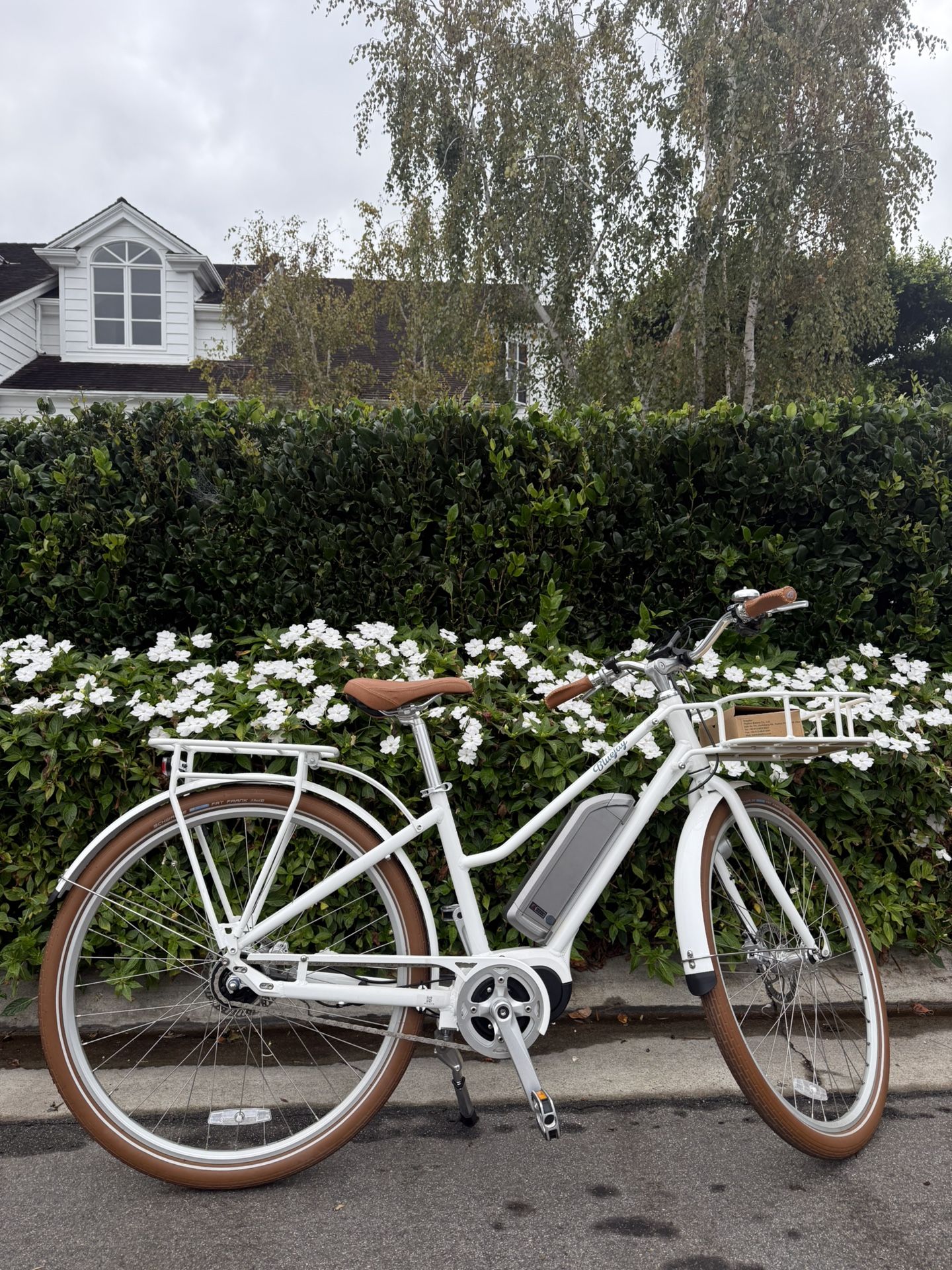 Brand New Bluejay Electric Bike