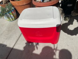 Igloo Island Breeze 28-quart cooler.