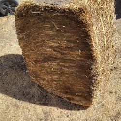 Compressed Straw (FREE)