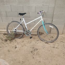 Fixer Upper Bike
