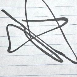 Wrestler John Cena's Autograph 