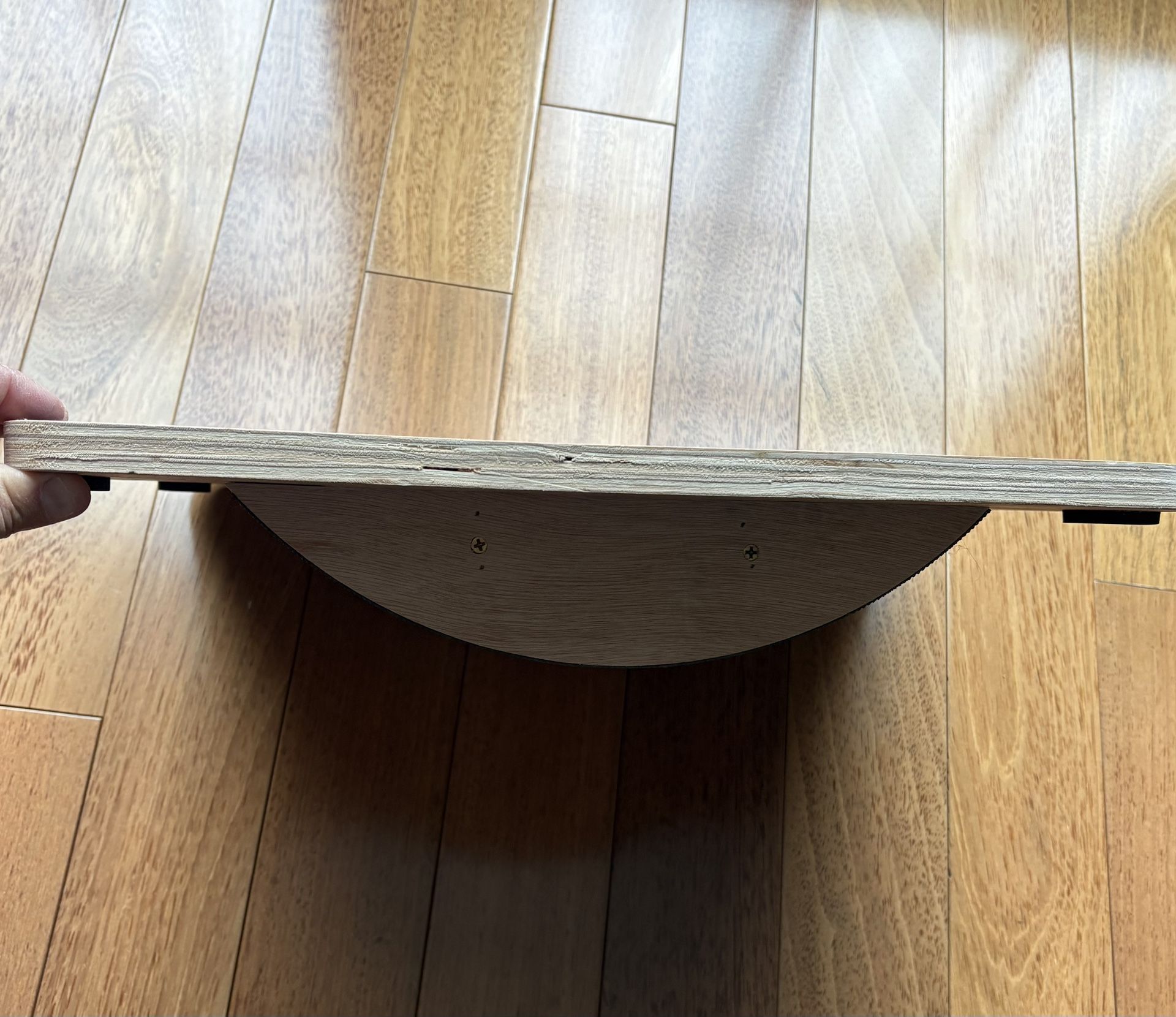 Hapoo Balance Board