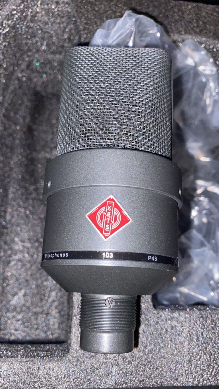 Studio Recording Condenser microphone