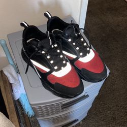 Dior B22