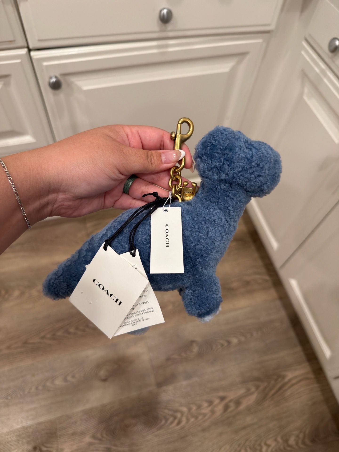 Coach Buddy Blue Dino Bag Charm Rexy 10th Anniversary