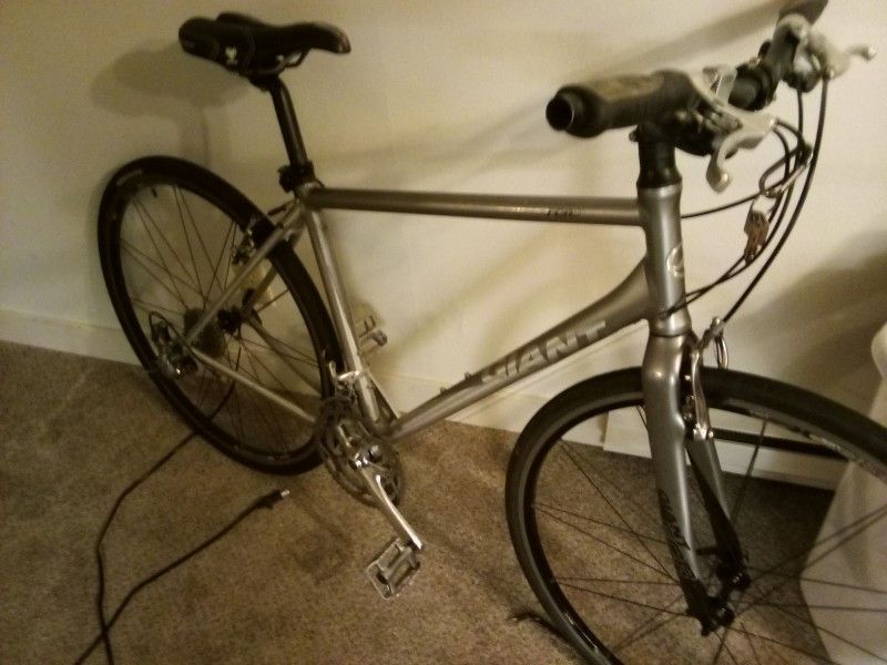 Giant Fcr2