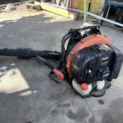 Echo Blower
