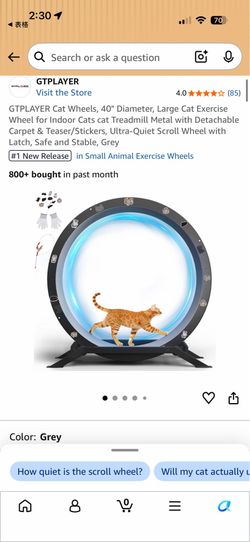 40" Large Cat Exercise Wheel Treadmill with Safety Latch (Grey)