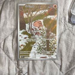 Pokémon Cards With 9 Top Loaders To Also Protect The Cards 