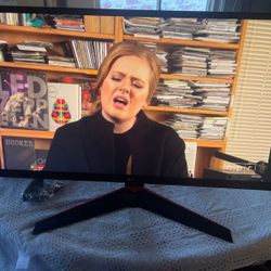 Computer Monitor (Gamer) 