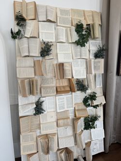 Beautiful Book Wall Backdrop