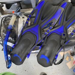 Snorkeling Gear Fins And Snorkel 