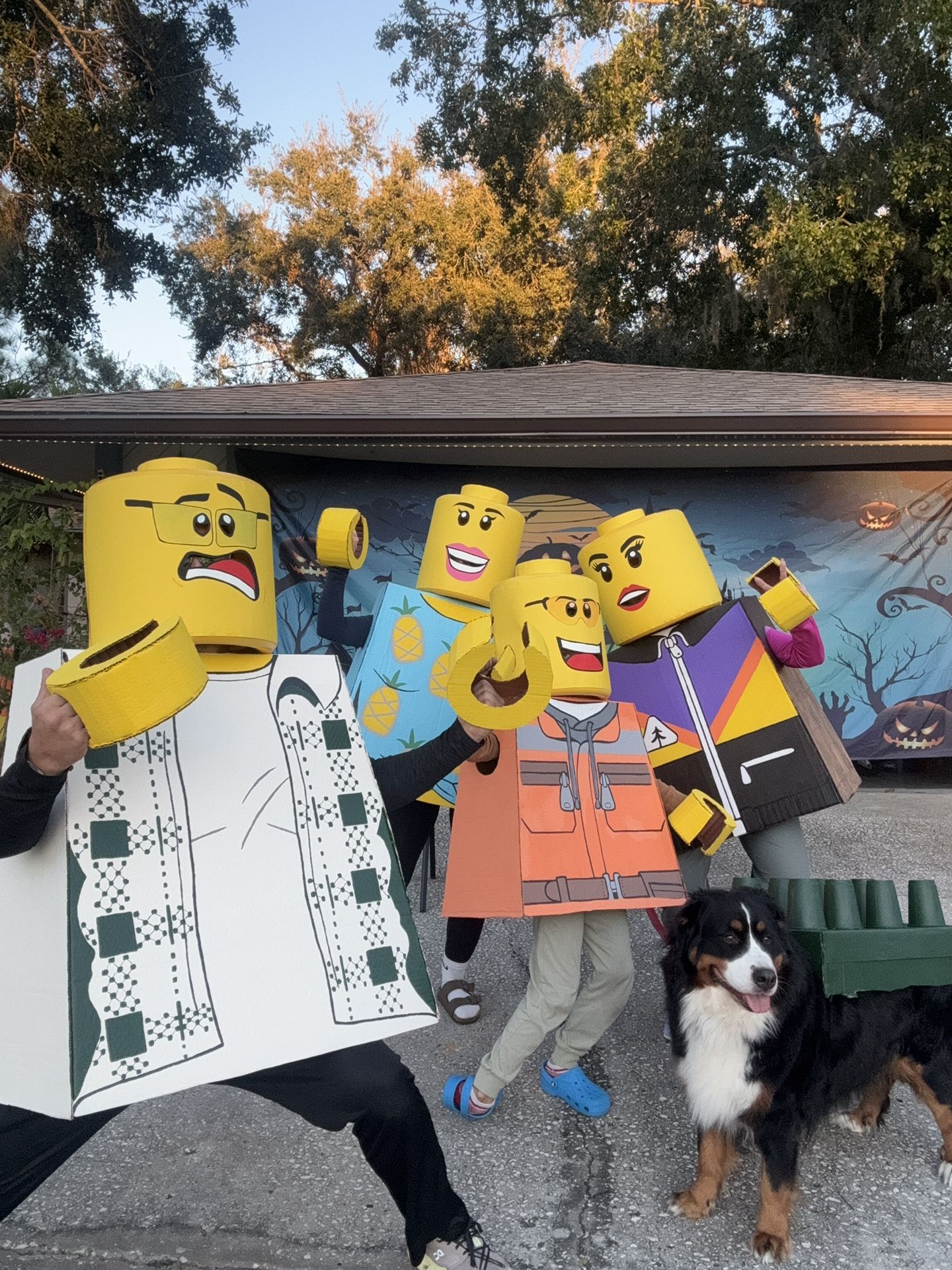 Lego Costume One Of A Kind (sold As Set)