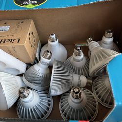 Heavy Duty Lightbulbs