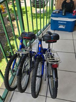 Two Schwinn folding bicycles  2 for $220 or $120 for one