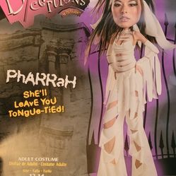 Pharrah Halloween Costume 