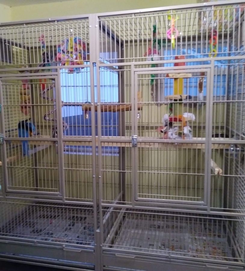 Large bird cage