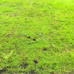 Corner Lot 1/2 Acre