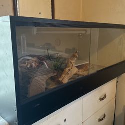 Terrarium / W/ Bulbs, Venting & Ports