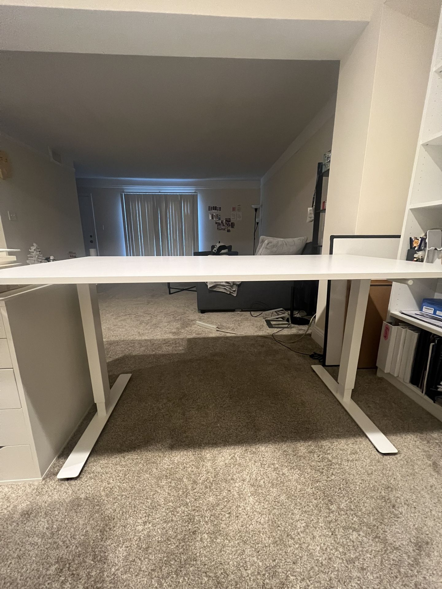 IKEA Adjustable Standing Desk (63x31.5)