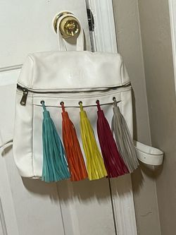 Purse/ bag bota brand