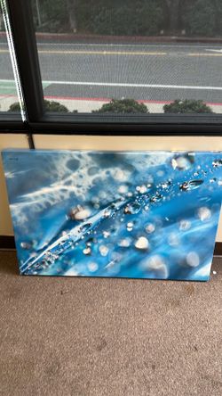 Canvas print