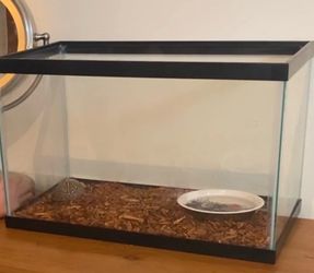 Turtle tank without turtle