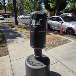 Everlasting Punching Bag