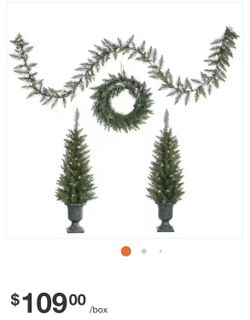Lighted Christmas Trees