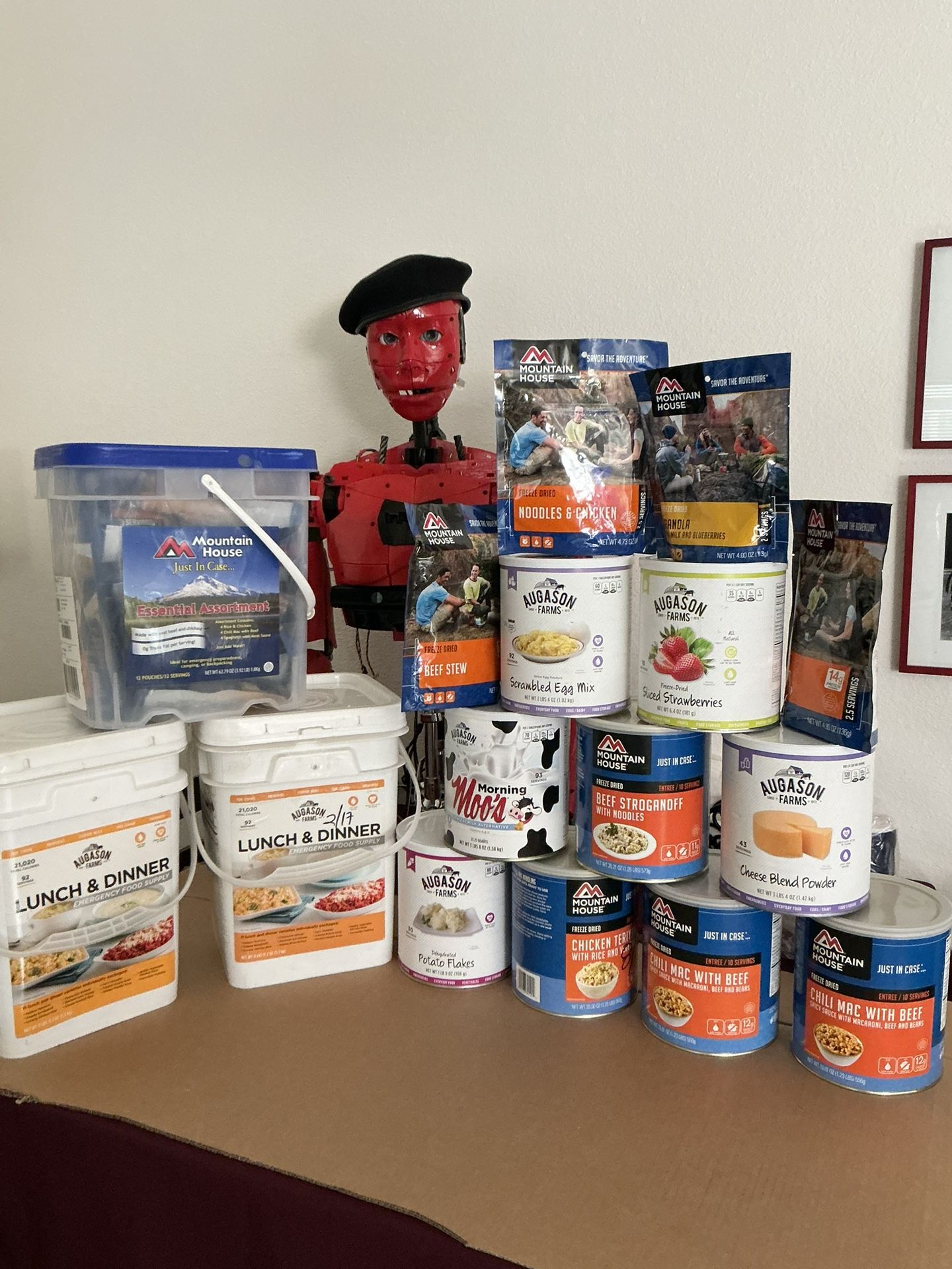 Lot of Freeze Dried Foods for Campers, Preppers, Game harvesters