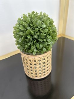 Cute Plant Stand Decor