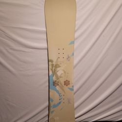 Snowboard 