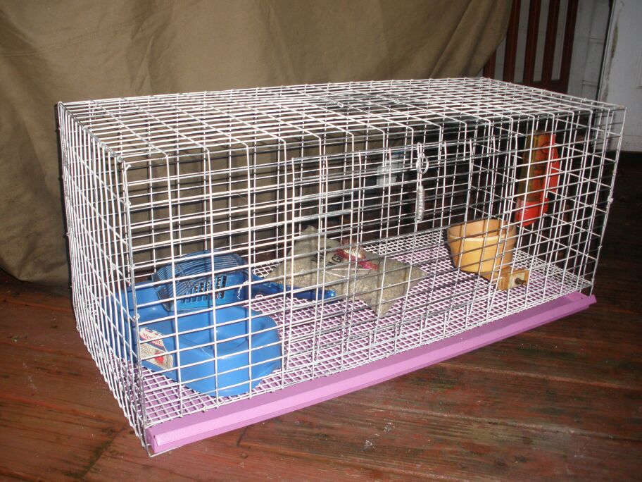 Huge metal hamster rabbit guinea pig ferrets cage with accessories