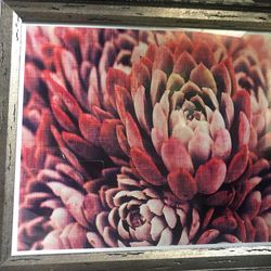 Aaron Brothers Framed Art Succulent Print $10