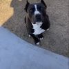 Jr 