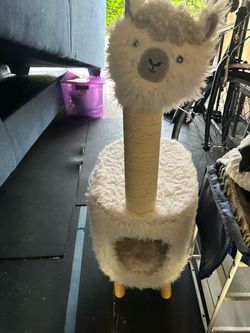 Cat Condo Llama