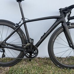 🚴🏻 Specialized Tarmac Carbon Road Bike – Size 49 