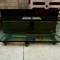 Fish Tank For Sale 
