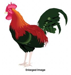 Rooster Notepads