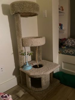 cat tree!!!