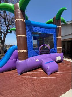 Tropical bouncer water slide