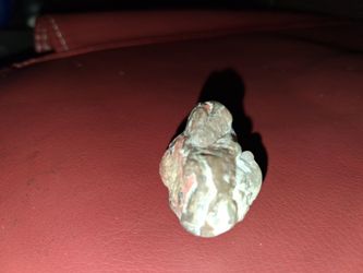 Gemstone fossil