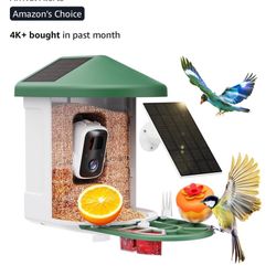 AI Bird Feeder 