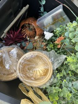 Wedding Decor/florals/events