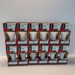 Bulbs