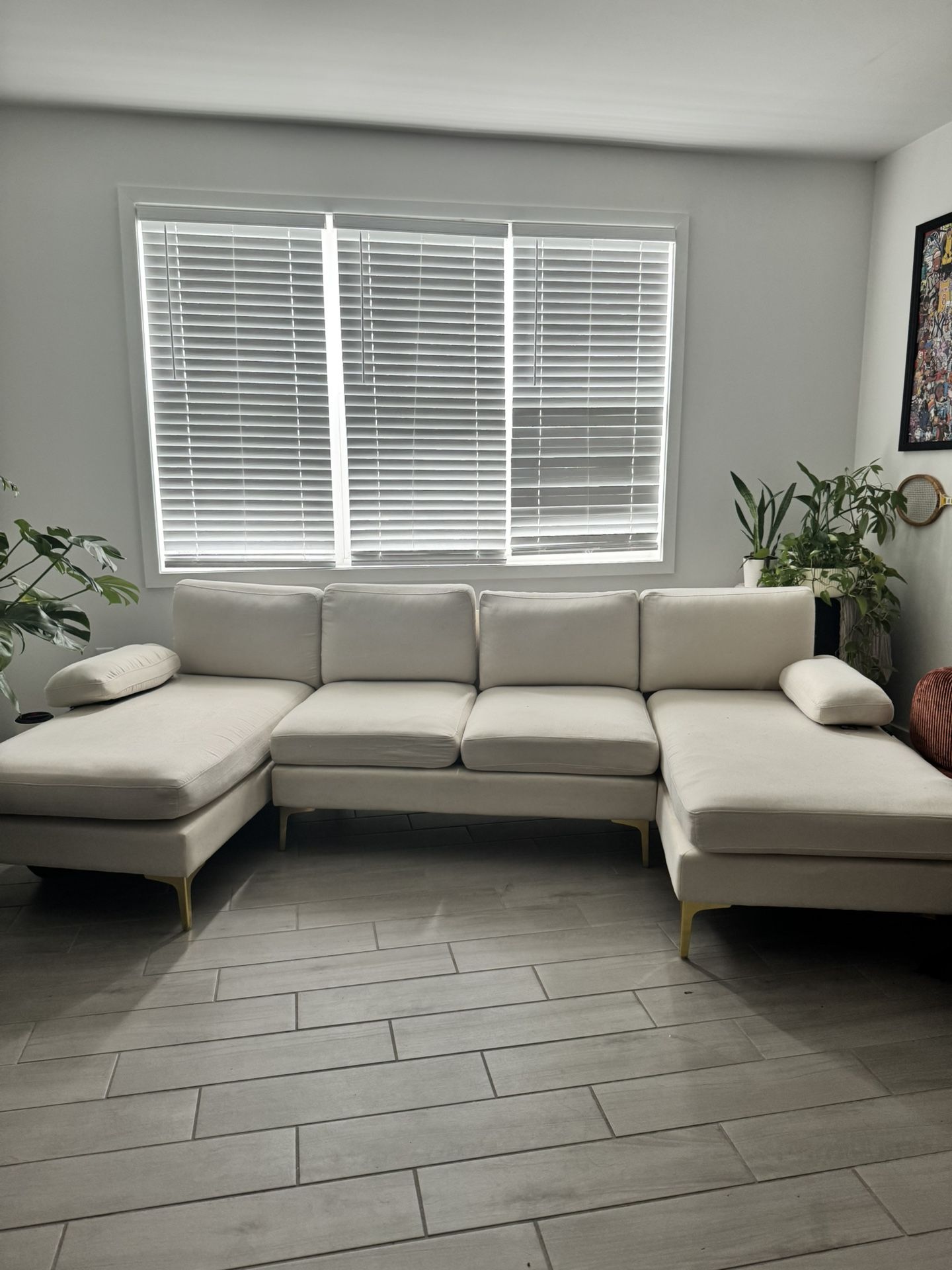 Beautiful Washable Couch