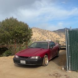 1985 Ford Mustang
