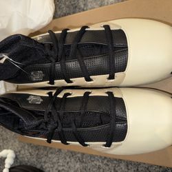 Air Jordan 17 “IA” Sz. 10