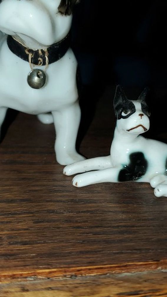 Mini Porcelin Boxers